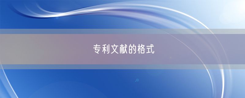 <strong>专利文献的格式</strong>