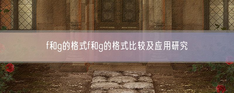 <strong>f和g的格式f和g的格式比较及应用研究</strong>