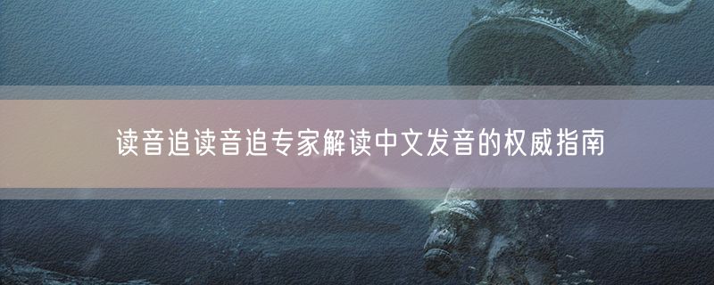 读音追读音追专家解读中文发音的权威指南